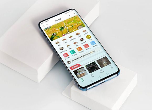 安徽皖南原生態(tài)農產品小程序定制開發(fā)