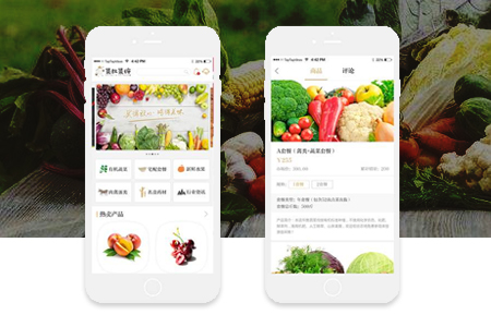 公眾號商城與微信小程序商城開發(fā)都有哪些區(qū)別？