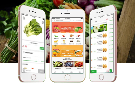 生鮮蔬菜水果類APP開發(fā)行業(yè)需求分析