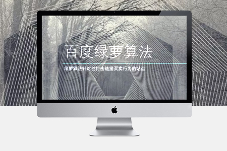 綠蘿算法網站應該如何seo優(yōu)化