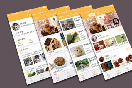上海寵物APP開發(fā)如何追隨潮流