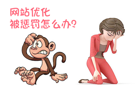 網(wǎng)站優(yōu)化如何辨別被搜索引擎懲罰？