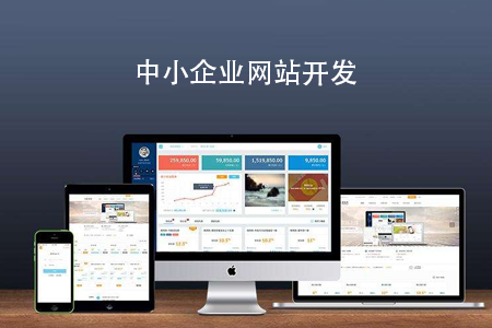 網(wǎng)站開發(fā),網(wǎng)站建設公司