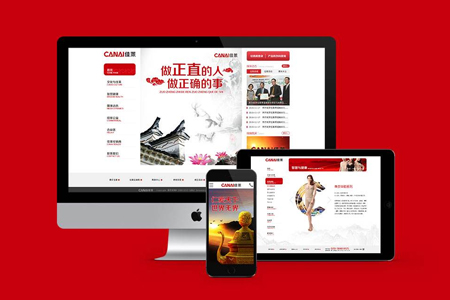 企業(yè)網(wǎng)站建設(shè),官網(wǎng)建設(shè)
