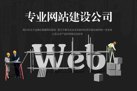 網(wǎng)站建設(shè),網(wǎng)站建設(shè)公司,專(zhuān)業(yè)網(wǎng)站建設(shè)